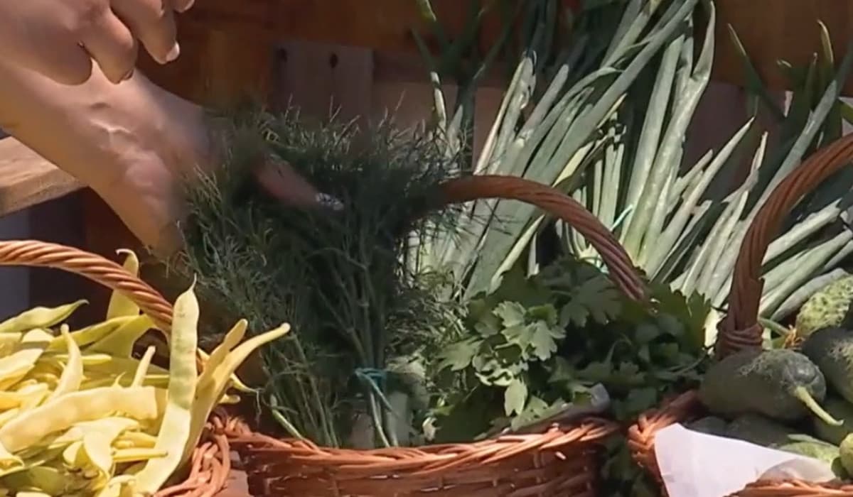 Ouă, brânză, roşii şi pui de curte, la un click distanţă. Cât costă "luxul" de a mânca direct de la fermă