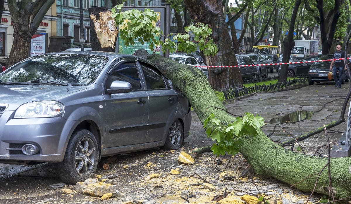 Vremea, la extreme. Furtunile au rupt copaci, în Vaslui un om a murit din cauza caniculei