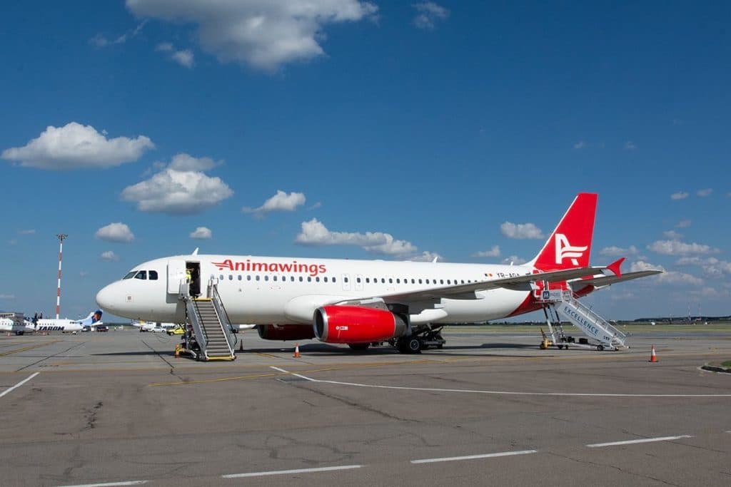 Animawings introduce o nouă rută de pe Aeroportul din Iași către una din cele mai populare destinații din Grecia