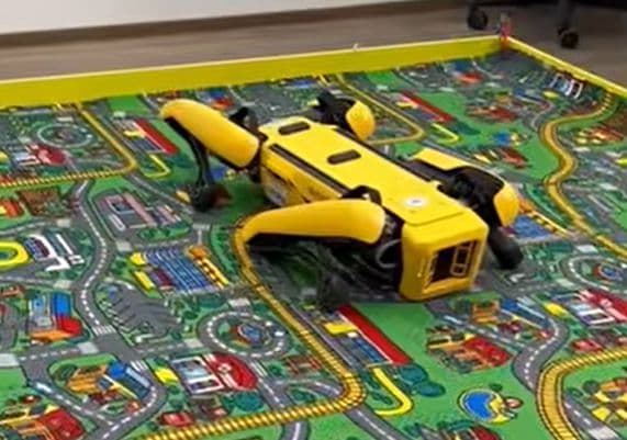 Faceți cunoștință cu Grivei cel automatizat: câinele-robot de 100.000 de euro care va învăța să hoinărească singur prin facultatea ieșeană de Automatică și Calculatoare