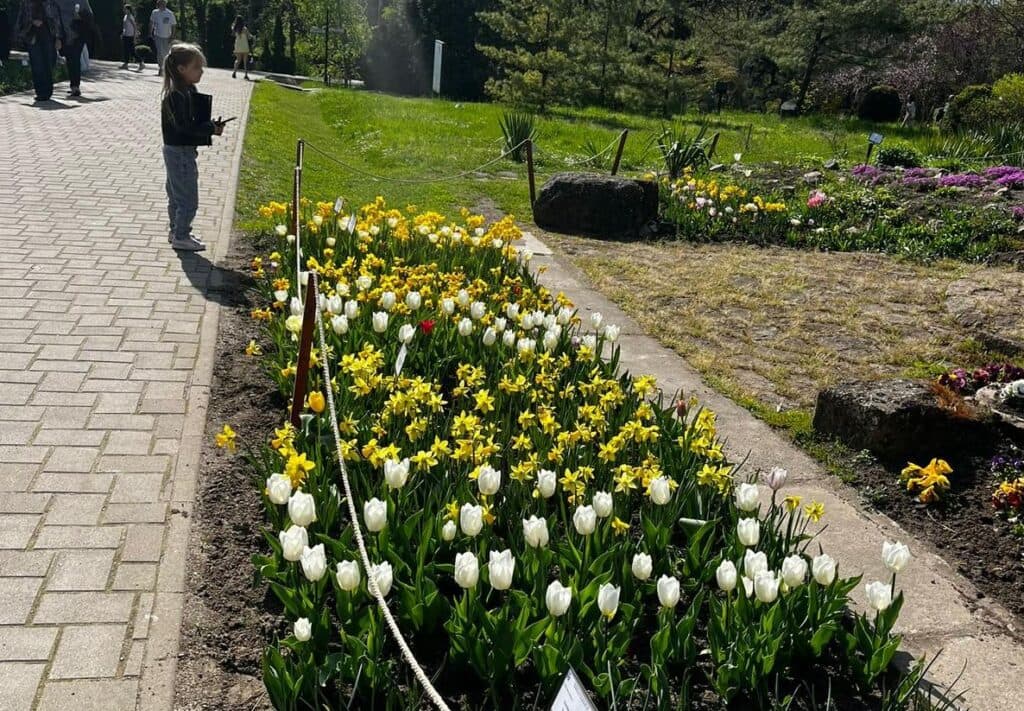 Primăvara a înflorit spectaculos la Grădina Botanică din Iași. Mii de flori expuse, reacții entuziaste ale vizitatorilor
