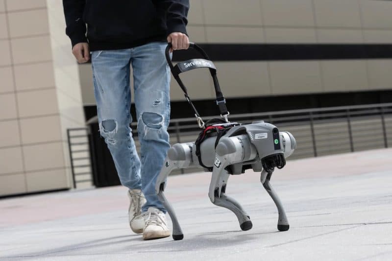 VIDEO: Un câine robot cu AI le vorbește nevăzătorilor și îi ajută să evite obstacolele. Cum funcționează noua tehnologie