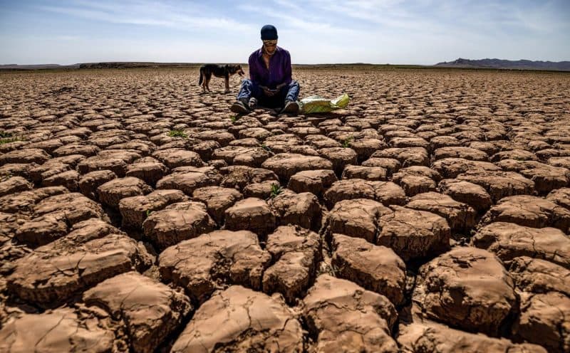 Meteorologii avertizează: Fenomenul El Niño se formează din nou și ar putea lovi planeta anul acesta