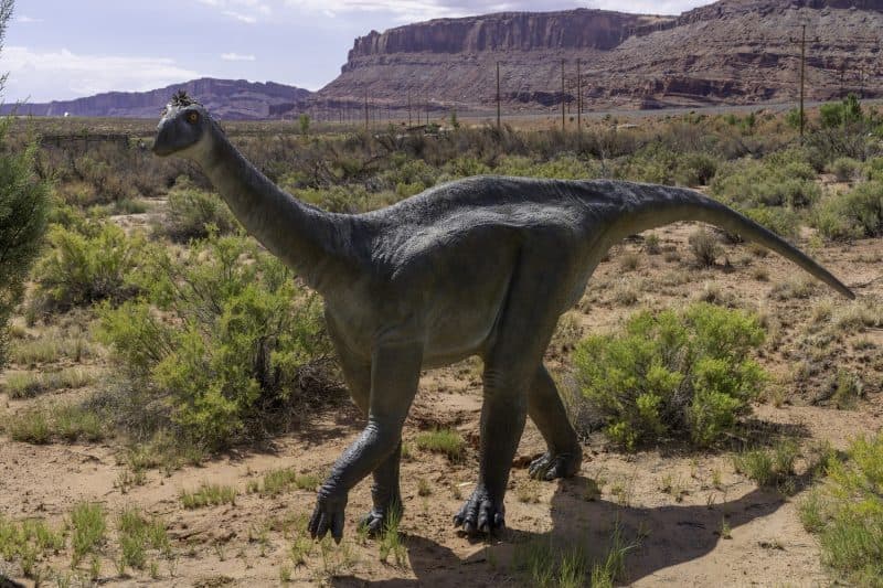 O fosilă descoperită acum 40 de ani rescrie istoria dinozaurilor din Antarctica