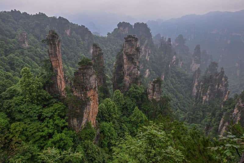China a plantat 66 de miliarde de copaci. Noul studiu arată un efect pe care cercetătorii nu îl anticipau pe deplin
