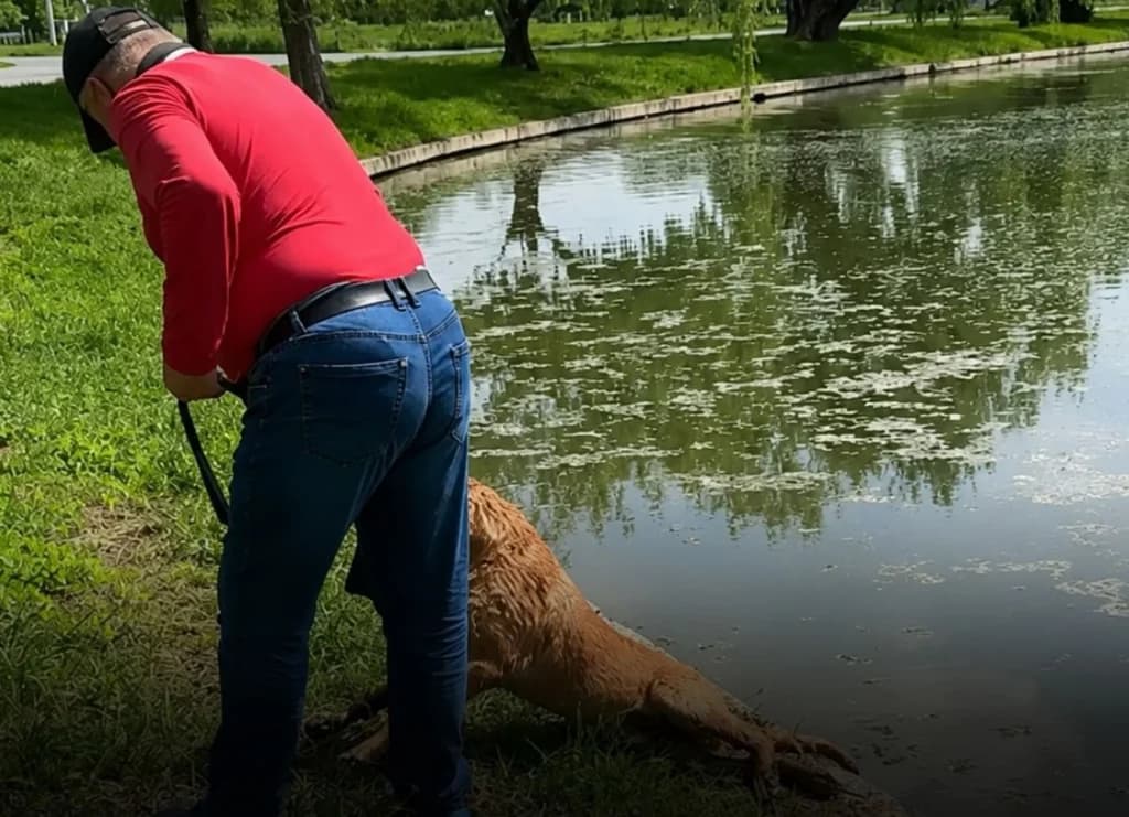 Dosar penal deschis de poliţiştii din Bucureşti, după ce un bărbat ar fi încercat să-şi înece câinele în Parcul Tineretului