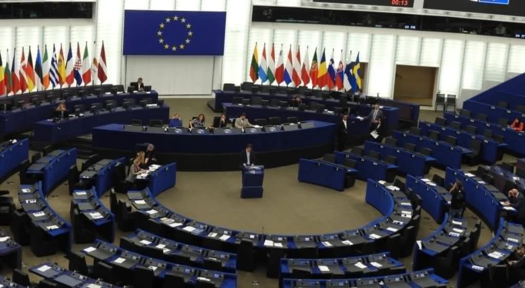 Parlamentul European interzice termenul „friptură vegetală”. Și Paul McCartney s-a implicat