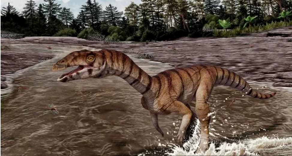 Biped și fără dinți! Așa arăta strămoșul din Triasic al crocodilului!