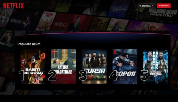 Cum ajung filmele românești pe Netflix. Criteriul pe care trebuie să-l îndeplinească după ce intră în cinematografe