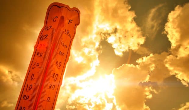35 de județe și București intră de la ora 10 sub cod roșu de caniculă. Elena Mateescu, director ANM: „Vom resimți 45 de grade Celsius”