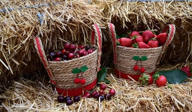 Cât costă cireșele și căpșunile la festivalul dedicat lor în Piața Matache din București