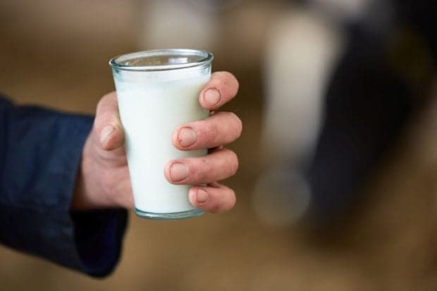 Litrul de lapte se vinde cu 70 de bani la ferme, dar apare cu 2,4 lei în acte. De ce sunt fermierii români amenințați de faliment