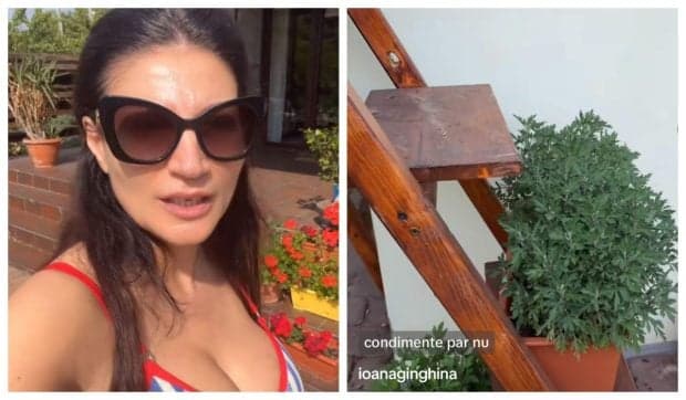 Imagini cu grădina Ioanei Ginghină. Ce legume a plantat vedeta și cine se ocupă de ele. „Să nu ziceți că nu fac nimic. Am zis să vă arăt”
