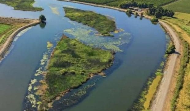 O insulă privată de peste două hectare, scoasă la vânzare pentru doar 39.000 de dolari, în California