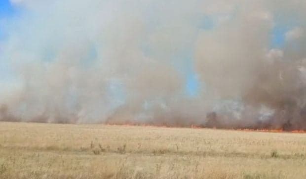 Incendiu de vegetație în Mehedinți: 30 de hectare de grâu și miriște, cuprinse de flăcări. Autoritățile le recomandă locuitorilor să evite deplasările