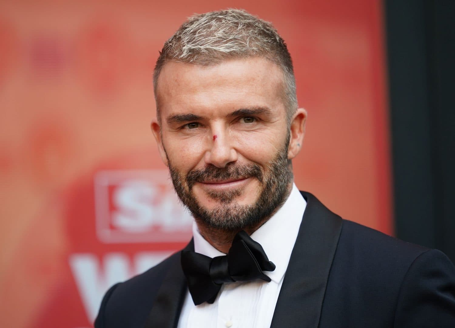 David Beckham, moment regal printre trandafiri. Regele Charles și Regina Camilla s-au întâlnit cu fostul fotbalist la Chelsea Flower Show