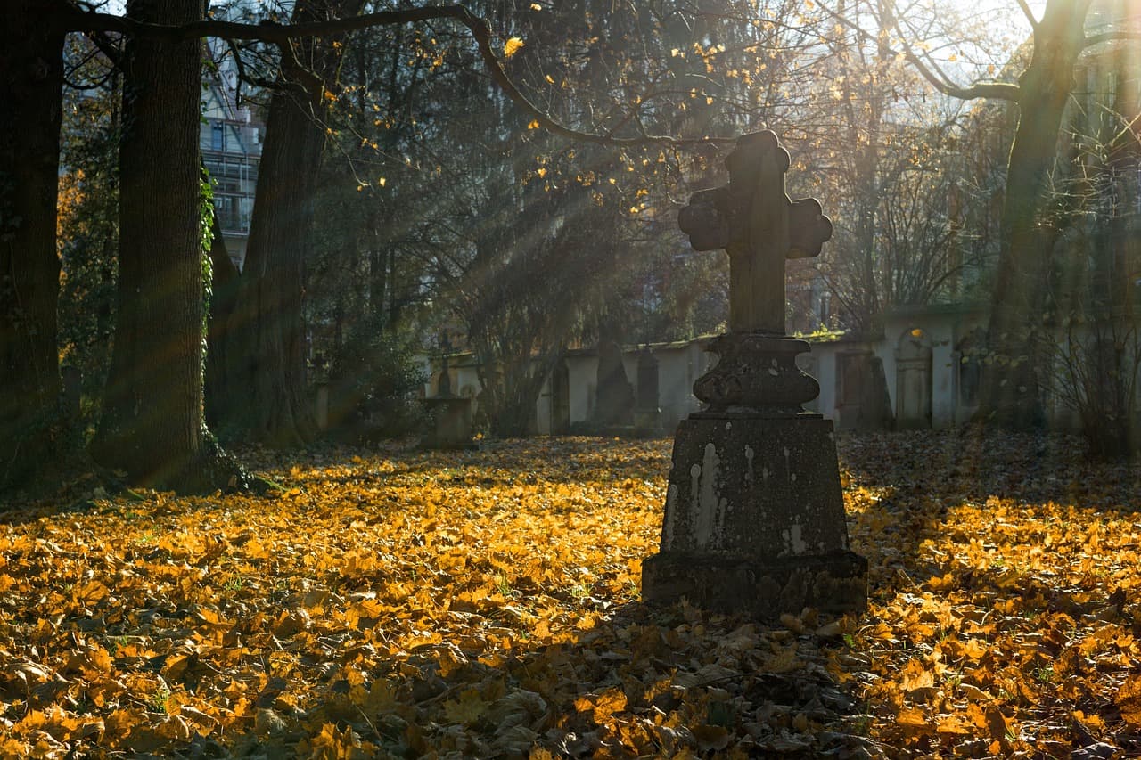 Doi români ajung în fața justiției după acuzații de profanare de morminte în Franța. Ce au recunoscut în fața procurorilor