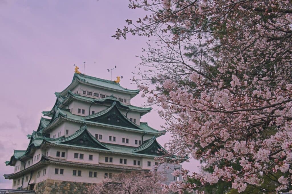 Destinații care îți pot schimba viața: Japonia, India și Noua Zeelandă în topul turiștilor