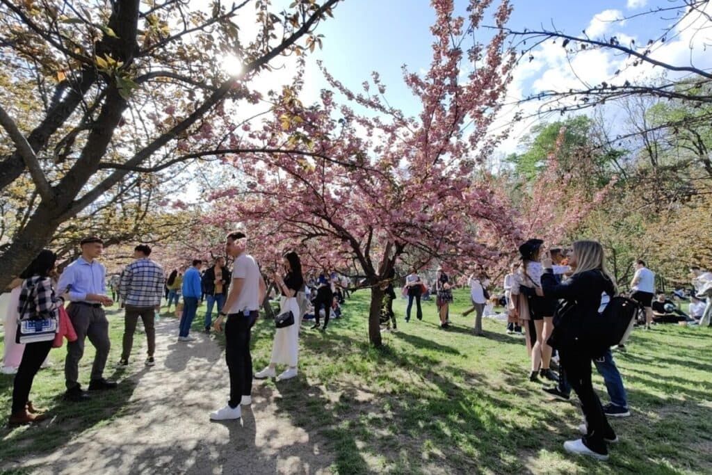 Parcul Herăstrău nu este bine. Ciprian Ciucu anunţă proiecte de modernizare