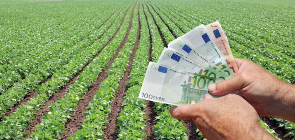 UE alocă bani de urgență pentru agricultură: România primește aproape 15 milioane de euro. Lista culturilor pentru care fermierii pot cere despăgubiri