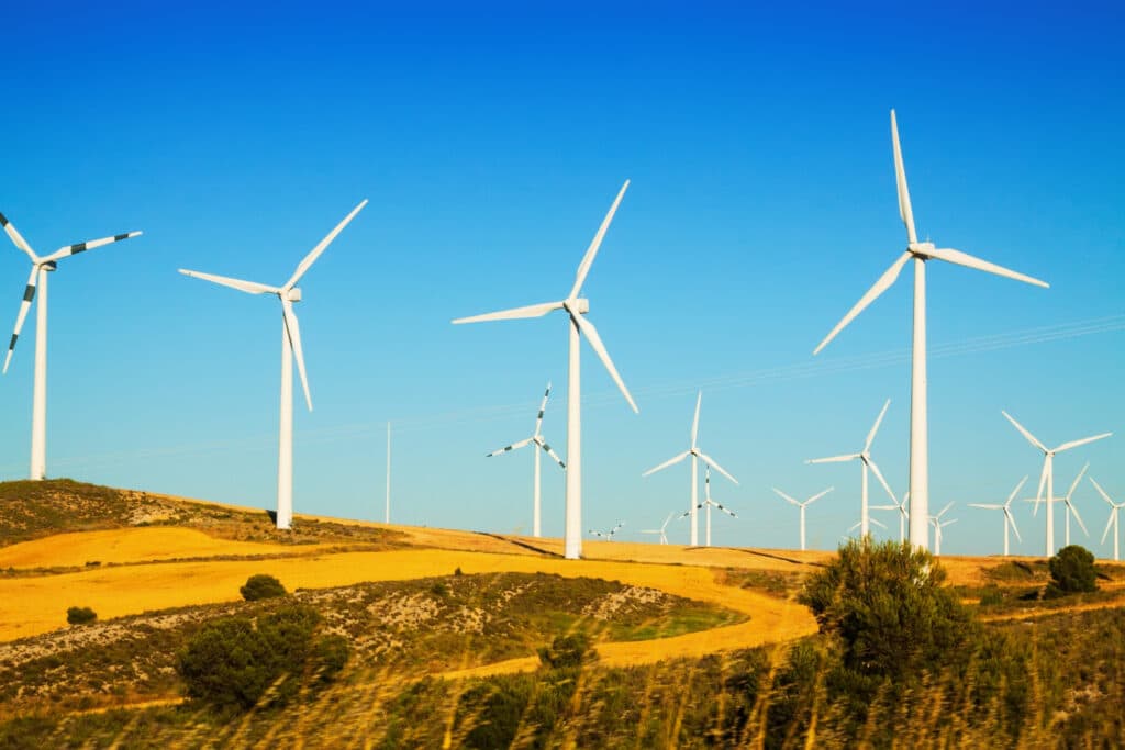 Compania Catalan Electric S.R.L. anunţă lansarea proiectului cu titlul „Instalare capacitate de stocare a energiei electrice pentru CEE Vânători”