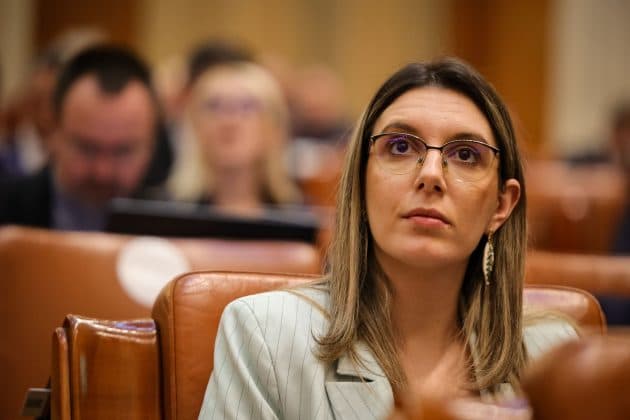 Diana Buzoianu: Nu mai este suficient să avem doar un sistem de evidenţă a transportului de lemn. Am pus în transparență proiectul de hotărâre pentru SUMAL 3.0