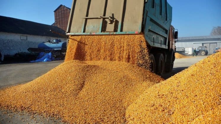 Am depășit Franța pentru al doilea an consecutiv. România este cel mai mare exportator european de cereale