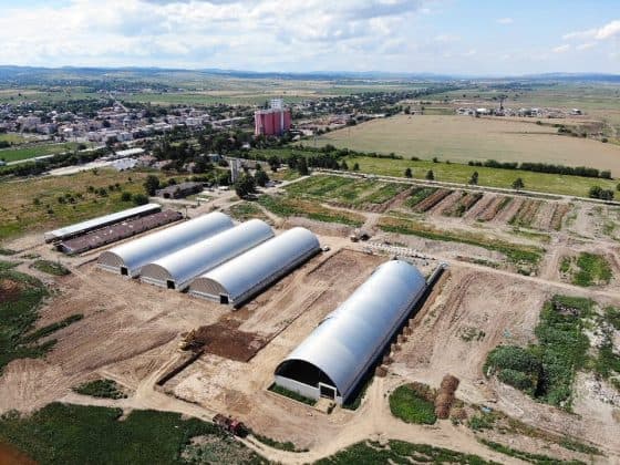 Efect de domino în agricultură: Încă trei firme din Grupul Șerban Holding cer insolvența din cauza unui credit de 70 de milioane de euro