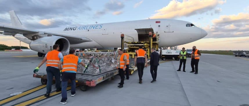 VIDEO – 4.000 de oi româneşti au ajuns cu avionul în Algeria. Anunţ de la ANSVSA despre primul transport aerian cargo cu ovine româneşti