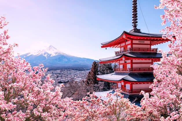 Colaborare România-Japonia. CCIB anunţă discuţii pentru dezvoltarea de proiecte de afaceri între companiile din România şi Japonia