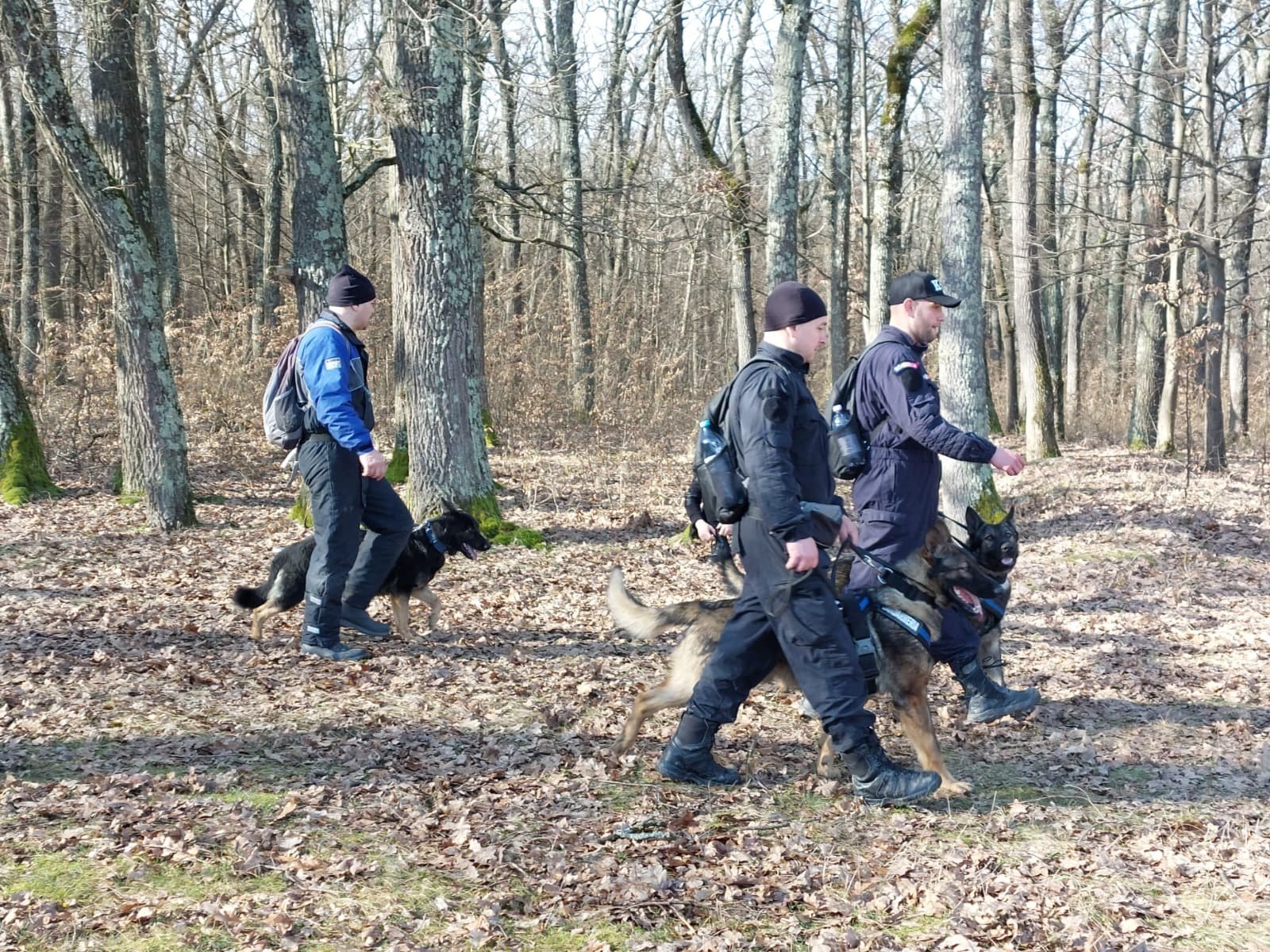 Dronă fără încărcătură explozivă, găsită în Maramureș / Zona a fost securizată