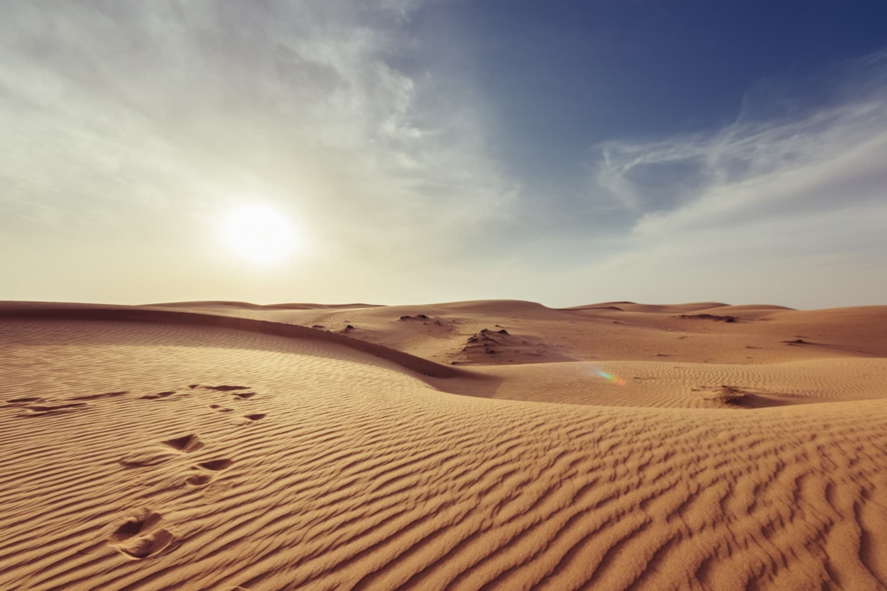11 țări africane construiesc o barieră de 8.000 de kilometri pentru a opri extinderea deșertului Sahara și a salva terenurile fertile
