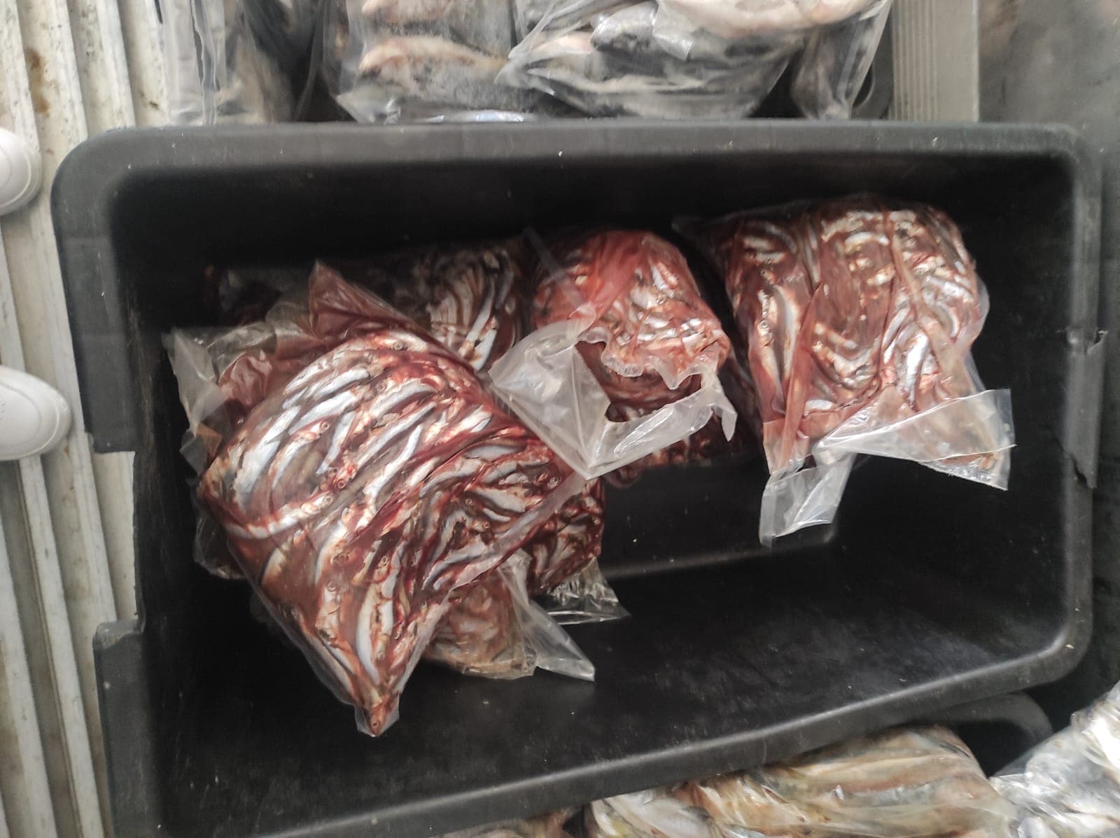 Avertisment DSVSA: Peștele și carnea de pui, cele mai riscante alimente pe timpul caniculei / ”Peștele este cel mai perisabil dintre produsele pe bază de carne și care poate genera toxiinfecții alimentare extrem de periculoase”