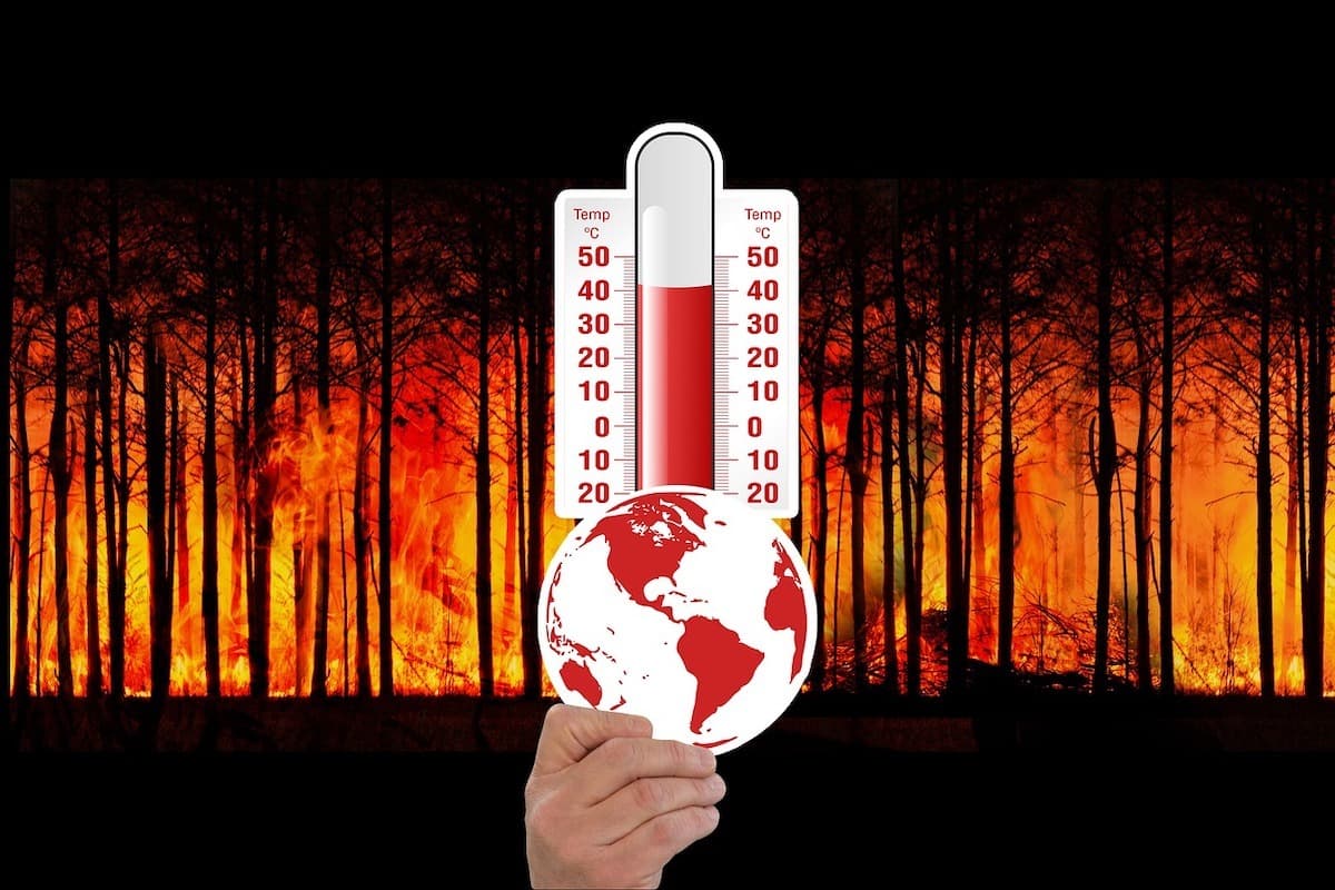 „Și acum 40 de ani era cald”. Cât e de adevărată afirmația? / Ce spune fizica despre clișeele legate de căldură
