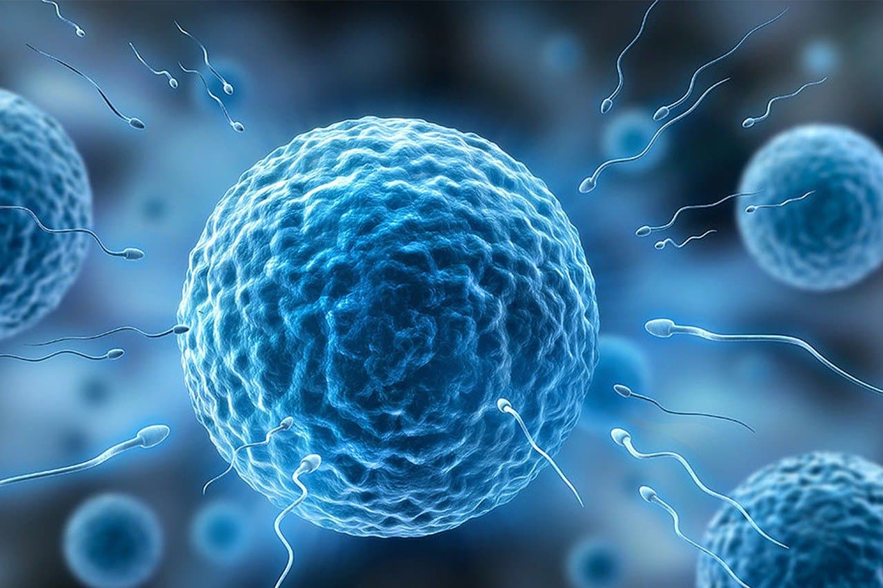 Colonizarea spațiului, în impas. Microgravitația dezorientează spermatozoizii, reproducerea este foarte dificilă