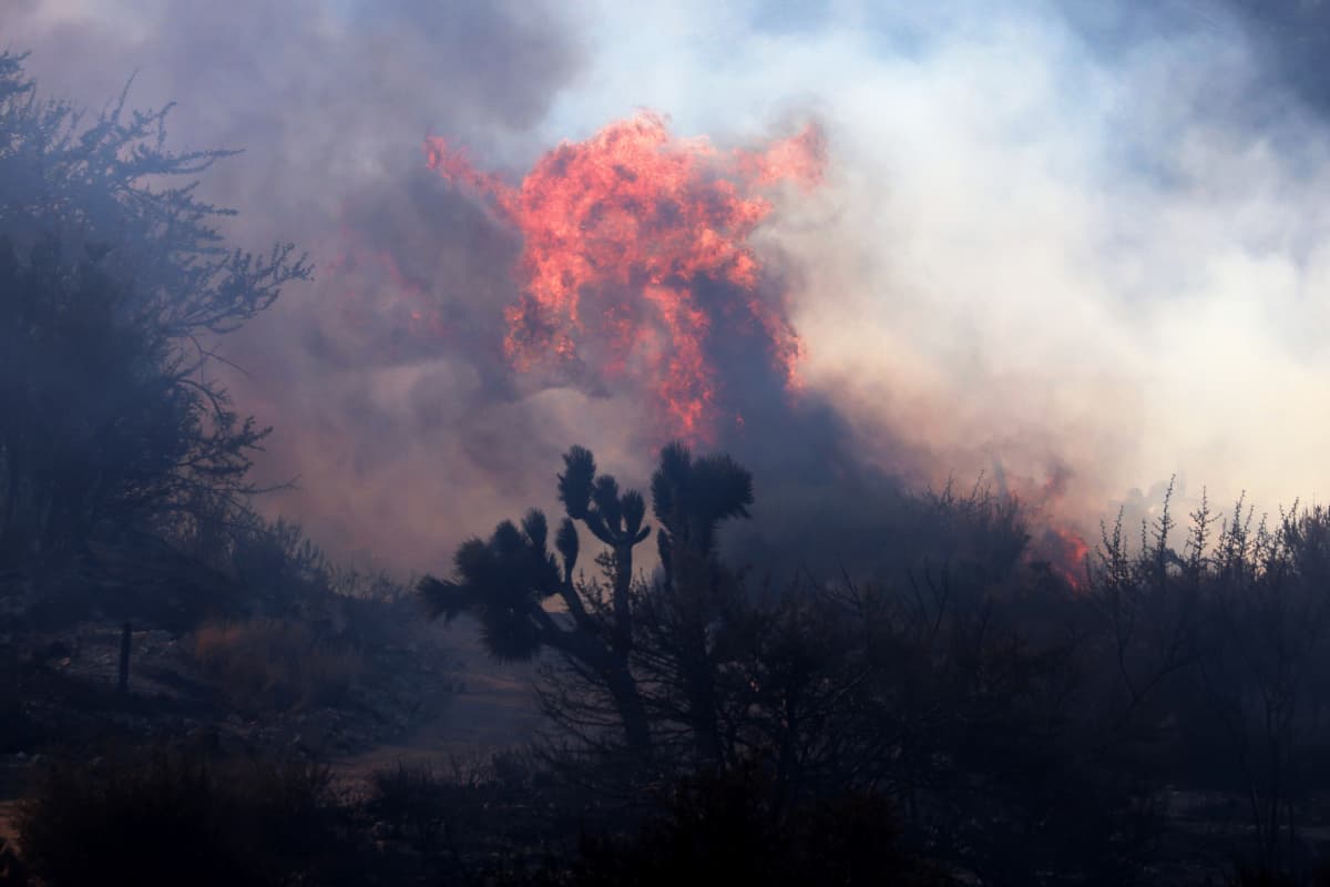 „Să eliminăm toți miliardarii”. Suspectul în cazul incendiilor din Los Angeles a dat vina pe bogați