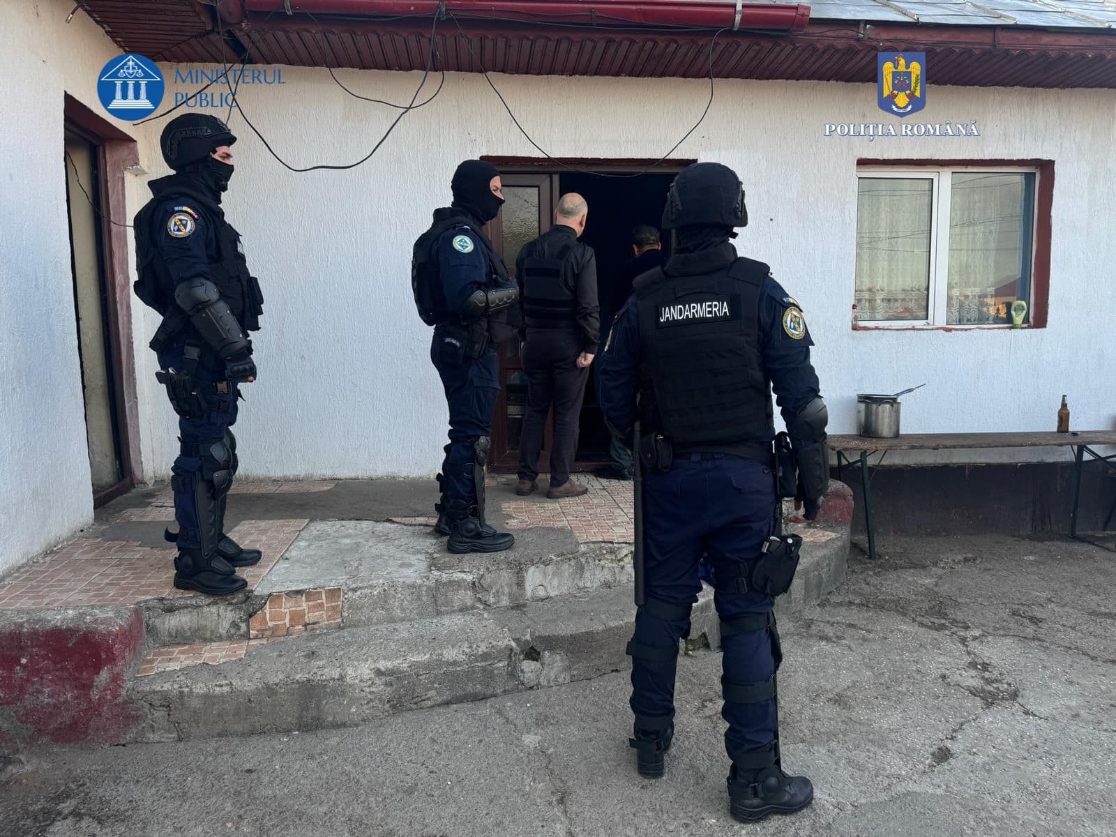 Operațiunea „Jupiter”: Peste 30 de percheziții domiciliare în 8 dosare penale ce vizează infracțiuni silvice și de mediu