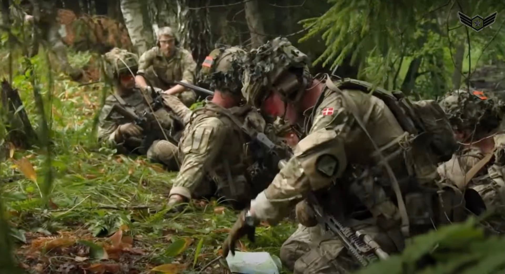 Danemarca va trimite un batalion în Letonia pentru a consolida flancul estic al NATO