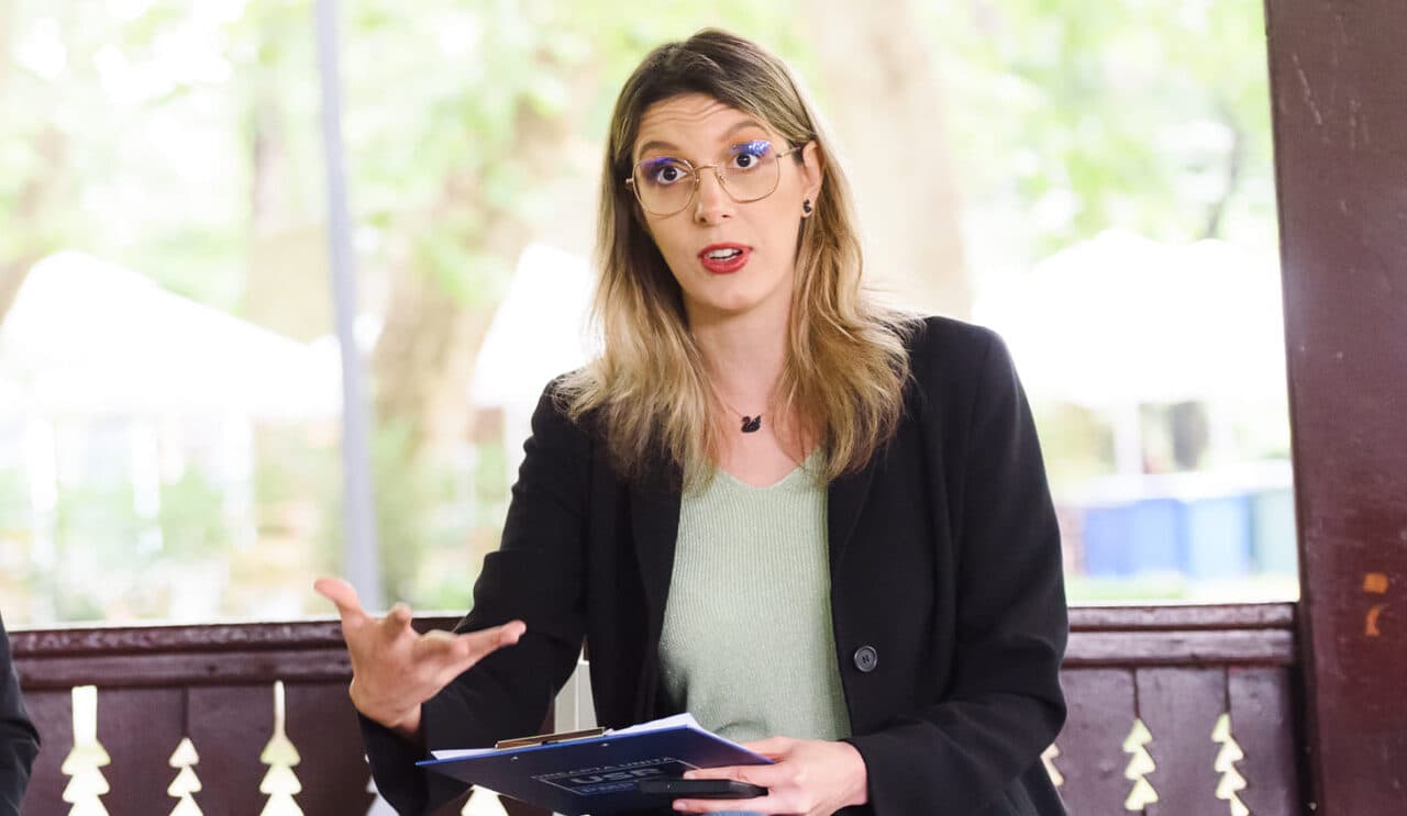 Diana Buzoianu: Alegerile anticipate, o „variantă foarte bună” dacă se prelungește criza politică
