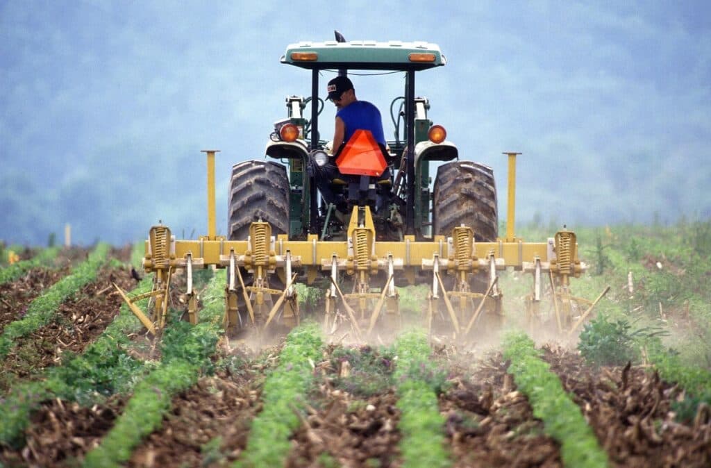 Agricultură după ureche/ Doar 5 din 100 de fermieri români au pregătire academică în domeniu/ OECD: Lipsa educației îngreunează modernizarea