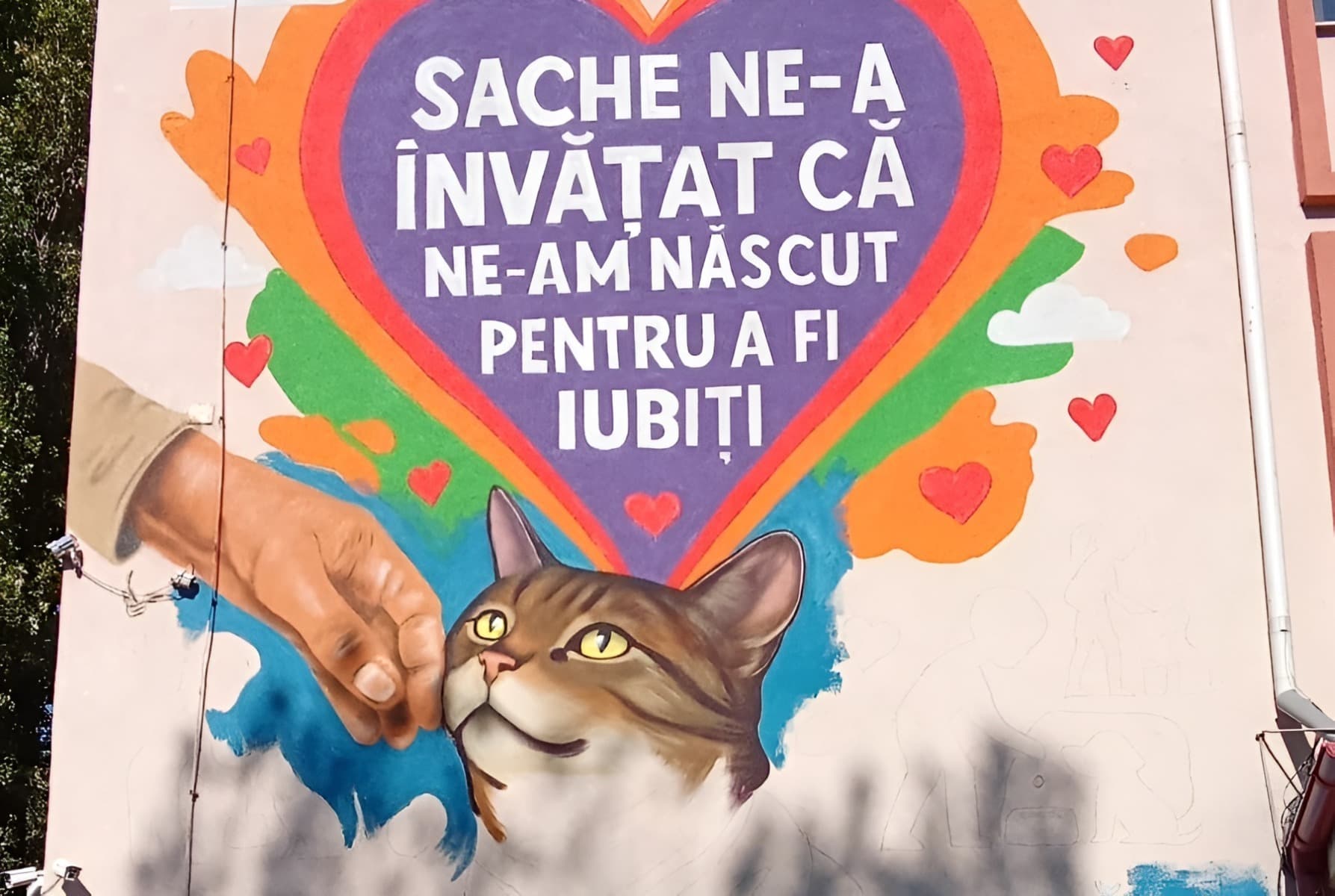 VIDEO EXCLUSIV | Povestea Lunei, pisica-mascotă a unei școli din Capitală: Dintr-un subsol plin de suferință, pe un mural care aduce zâmbete sutelor de elevi