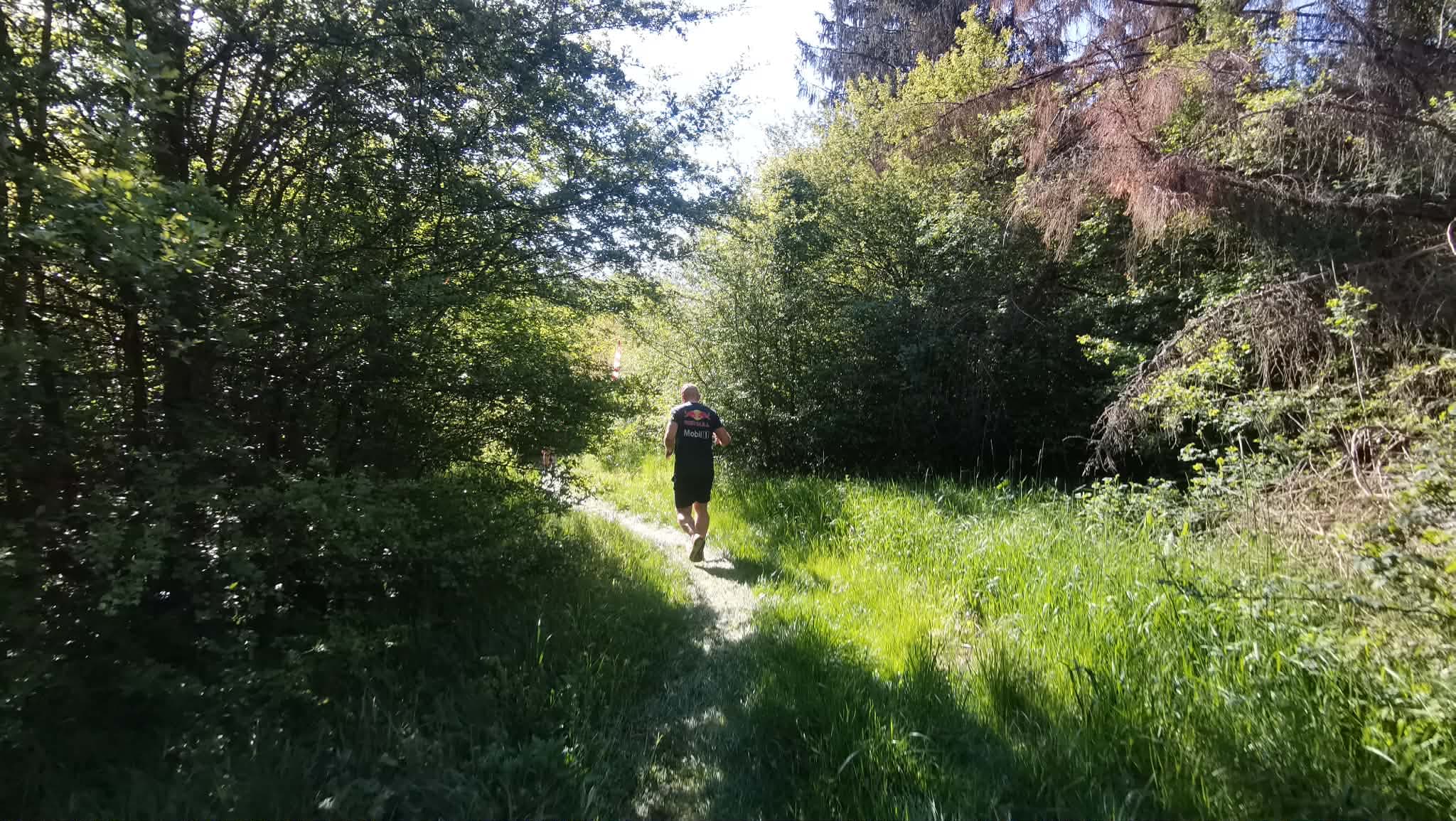 Peste 3.000 de alergători din ţară şi străinătate vor alerga, în weekend, la Braşov Marathon, unul dintre cele mai importante evenimente de alergare montană din țară