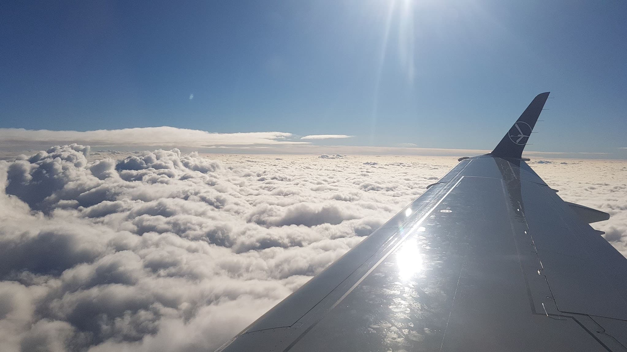 Cum vor arăta avioanele viitorului: ecrane panoramice, cabine de lucru și scaune pe două niveluri