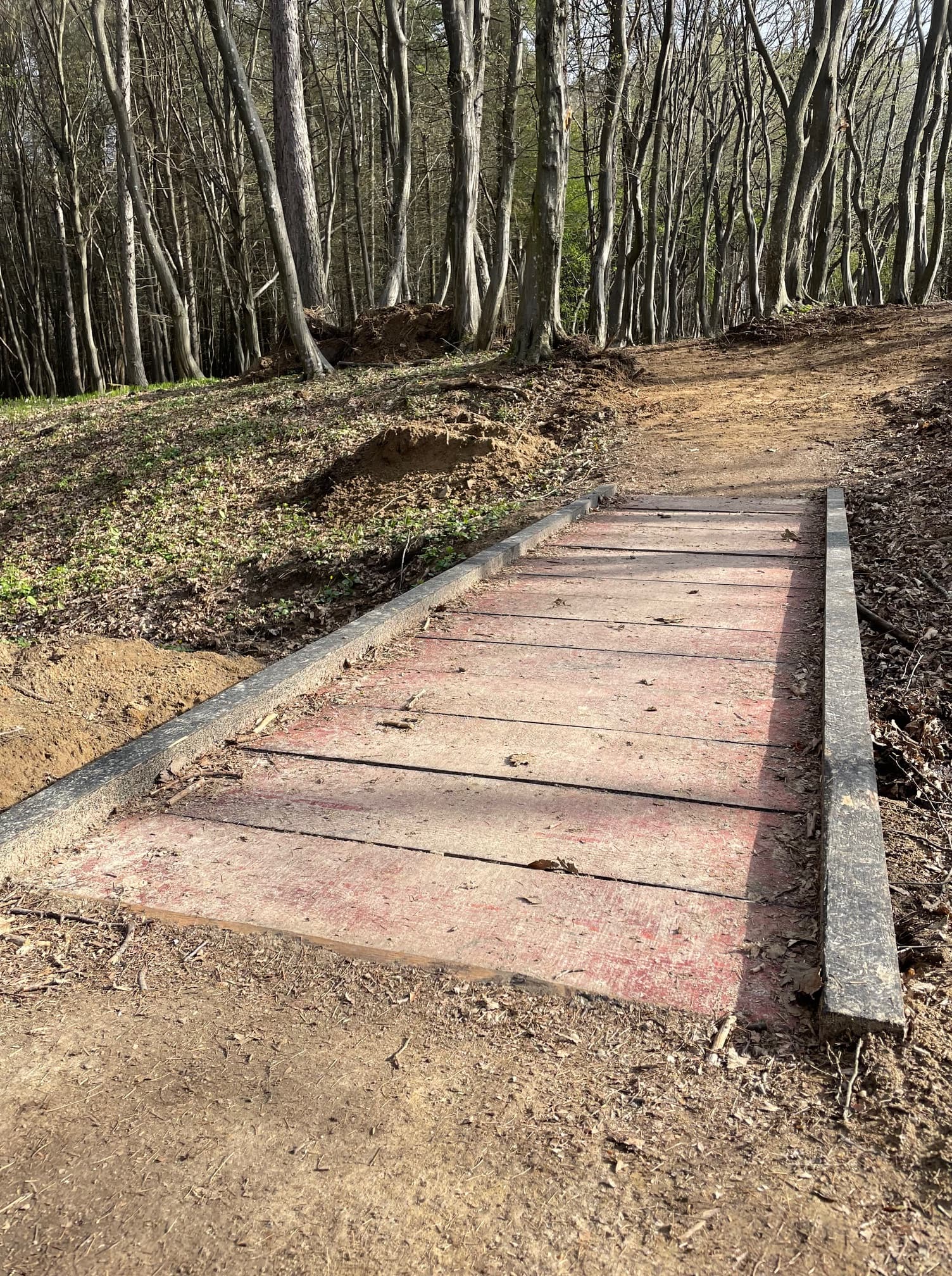 Premieră la Cluj: traseu turistic adaptat persoanelor cu dizabilități, inaugurat în Pădurea Făget / ”Ne dorim ca natura să fie accesibilă fiecăruia”