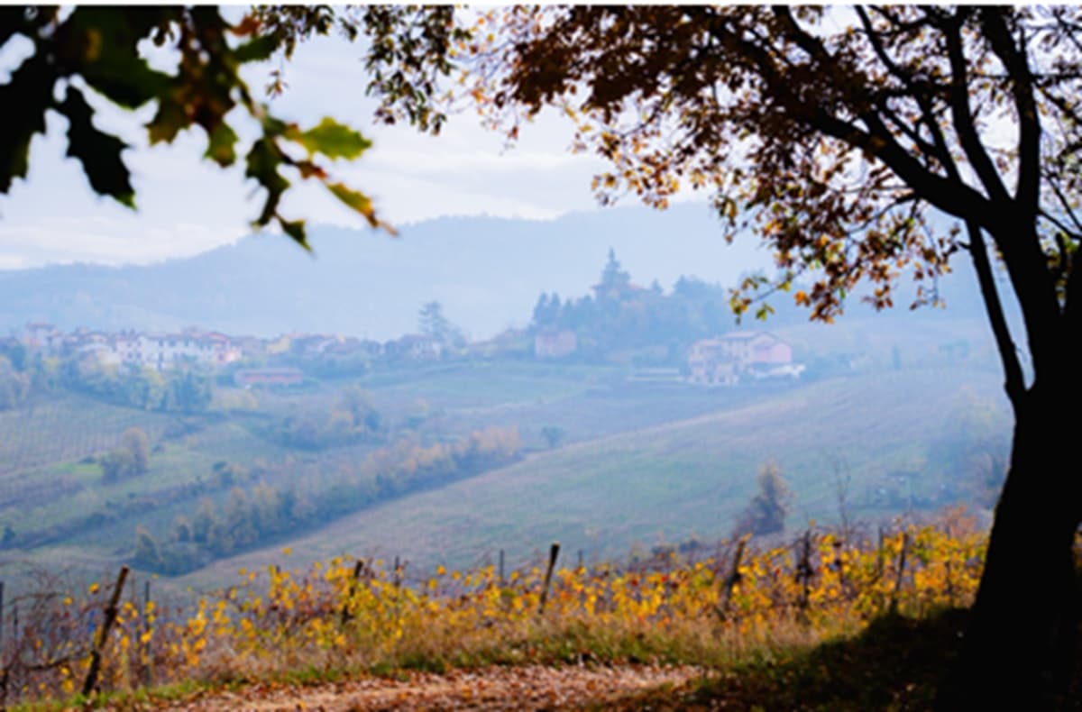 O excursie printre vii și spumante: Oltrepò Pavese, destinația italiană pe care nu știai că trebuie s-o pui pe hartă (GALERIE FOTO)
