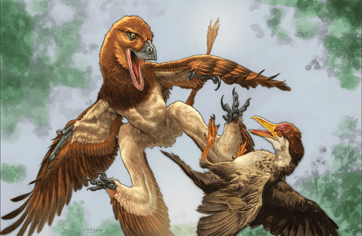 O descoperire din China rescrie istoria evoluției: Un dinozaur „cu patru aripi” trăia în urmă cu 120 de milioane de ani