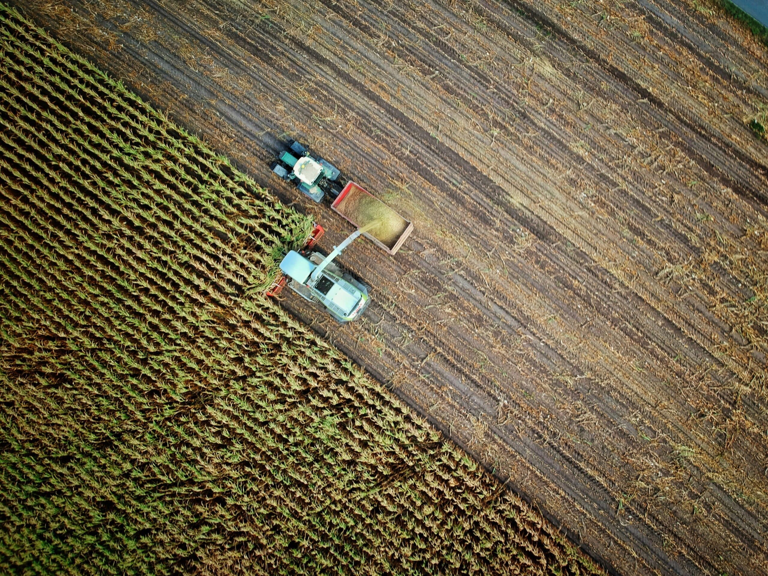 ANALIZĂ | Cine va mai produce hrana Europei? Radiografia unui schimb blocat de generații în agricultură / Cum e în România