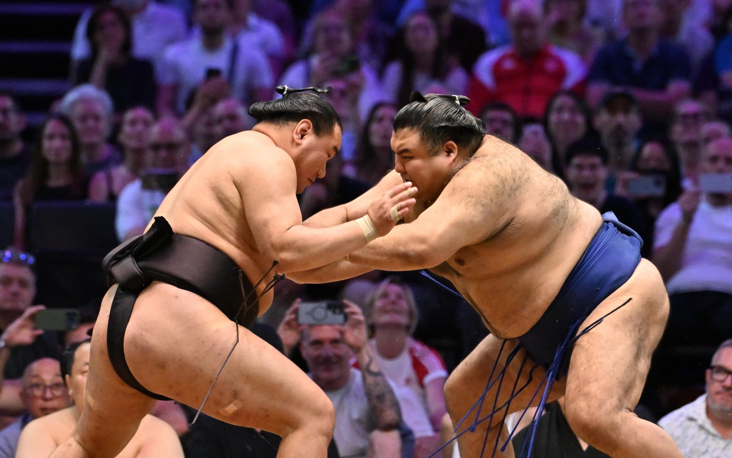 Turneul de sumo revine la Paris după 30 de ani