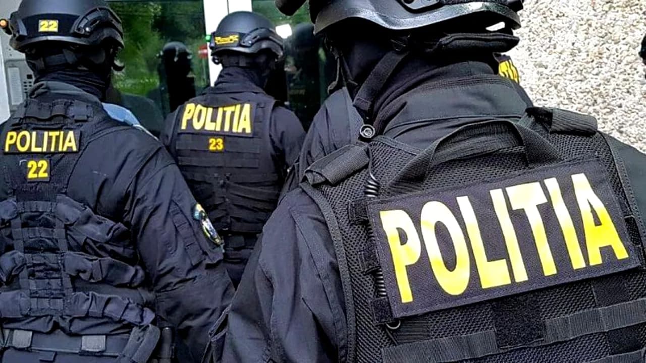 Câinele „Guj” l-a dovedit pe „Marcelone”. Traficantul din Iași vindea „șobolani” ca să-și finanțeze viciile
