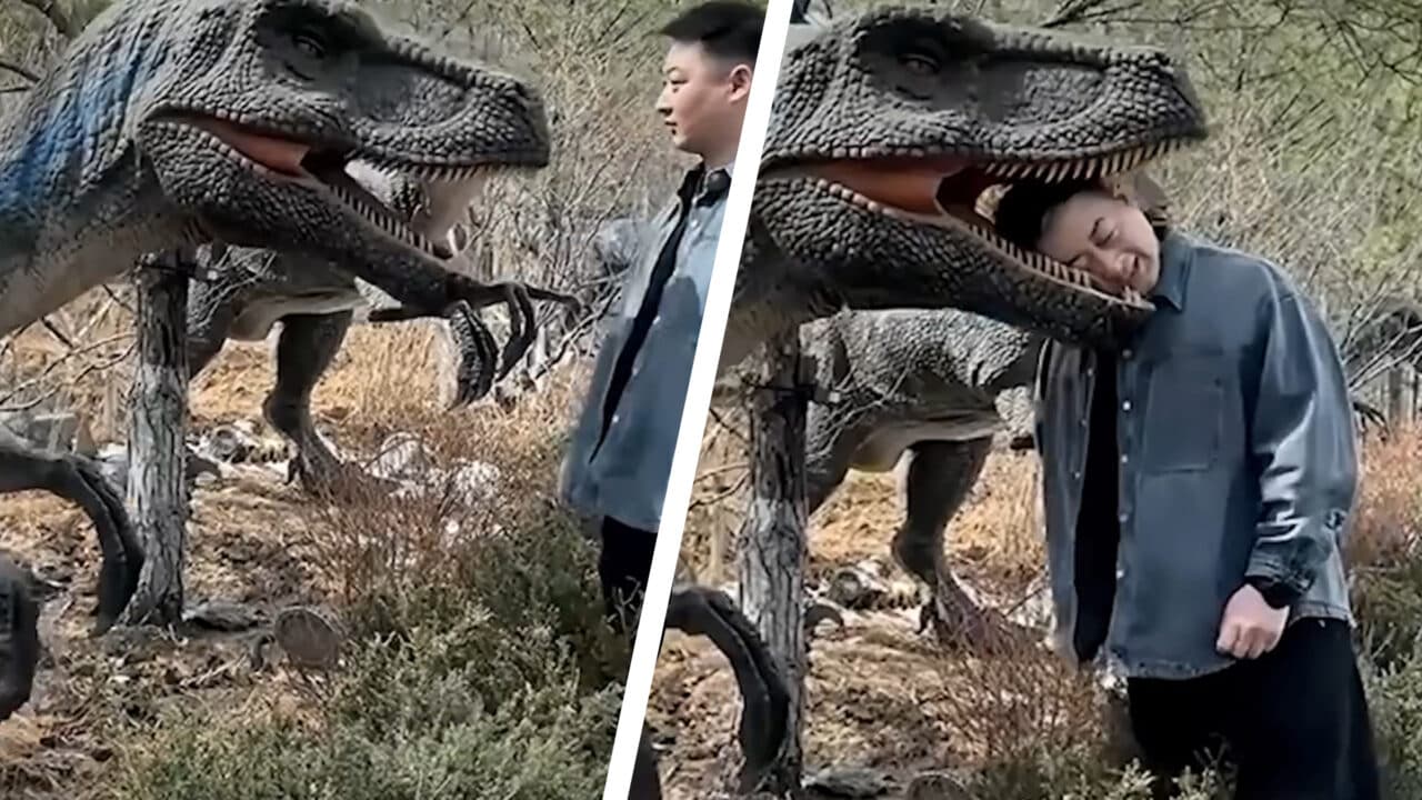 Gestul inconștient al unui turist. Cum a ajuns la spital dintr-un parc cu dinozauri
